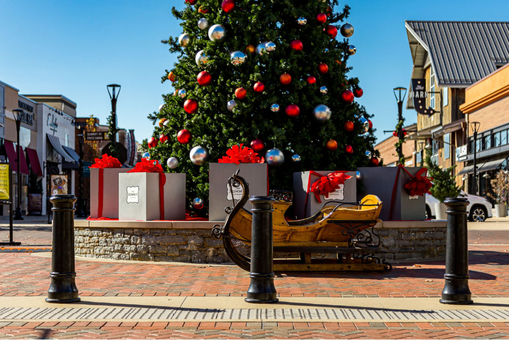 Bollards surround a Christmas tree in a town square.